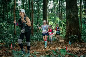 BIB: 
                            <button type="button" onclick="openModal(26134135)" class="btn btn-primary btn-sm float-right btn-popup" data-toggle="modal" data-target=".modal-high-quality">
                        <i class="fas fa-shopping-cart"></i> Add to Cart
                    </button>
                                            <button type="button" onclick="isThisMe(26134135, true)" class="btn btn-success btn-sm float-right btn-popup btn-isme hidden" data-toggle="tooltip" data-placement="bottom" title="นี่คือรูปของคุณใช่ไหม คลิกที่นี่เพื่อเอาเข้าอัลบั้ม">
                        <i class="fas fa-plus"></i> Add to album
                    </button>
                    <button type="button" onclick="isThisMe(26134135, false)" class="btn btn-warning btn-sm float-right btn-popup btn-isnotme hidden">
                        <i class="fas fa-ban"></i> Remove from album
                    </button>